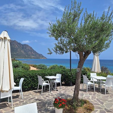 Casa Vacanze Con Piscina E Vista Mare Esclusiva Per Coppie E Famiglie, Relax E Tranquillita Tertenìa Exterior foto